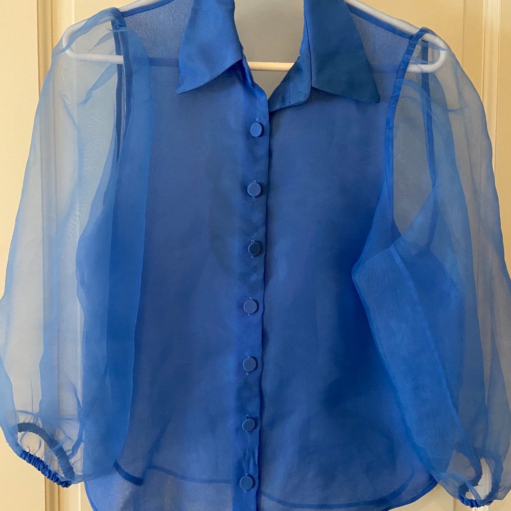 Sheer Blue Blouse